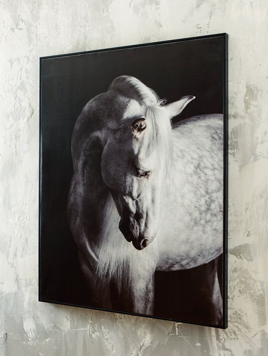 Cape Furniture Outlet - Ashley Furniture - Archerwick Wall Decor - Wall Art / Black/White - A8000409