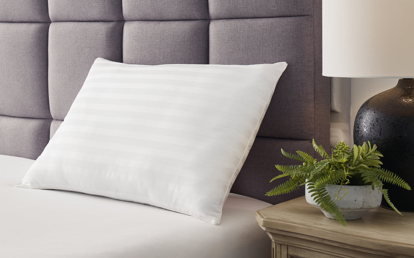 Cape Furniture Outlet - Ashley Furniture - Zephyr 2.0 Pillows - Graphene Contour Pillow (6/CS) / Dark Gray - M52113