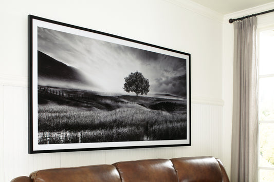 Cape Furniture Outlet - Ashley Furniture - Deborland Wall Decor - Wall Art / Black/White - A8000341