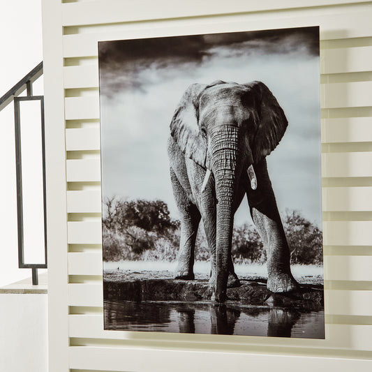 Cape Furniture Outlet - Ashley Furniture - Glinyard Wall Decor - Wall Art / Black/White - A8000421