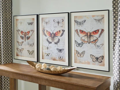 Cape Furniture Outlet - Ashley Furniture - Jossletts Wall Decor - Wall Art Set (3/CN) / Orange/Black/Ivory - A8000490