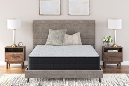 Cape Furniture Outlet - Ashley Furniture - Palisades Plush Mattresses - Queen / Gray/Blue - M41631