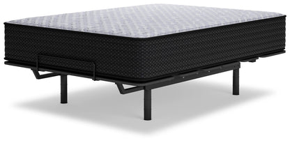 Anniversary Edition Plush Mattresses