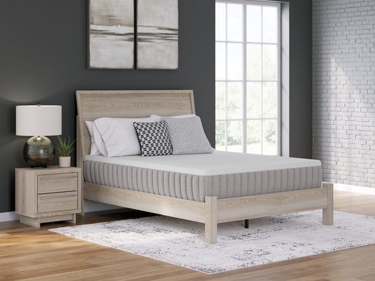 Cape Furniture Outlet - Ashley Furniture - Terra Sleep Medium Mattresses - Queen / White - M52331